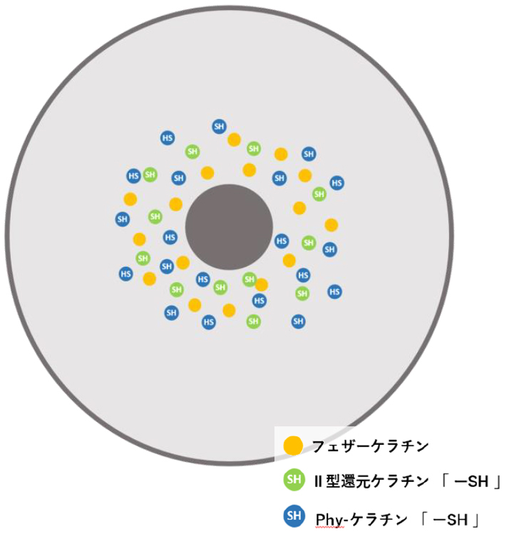 #熱ケラ,N.(エヌドット),ケラリファインシステム,凝集化,還元ケラチン
