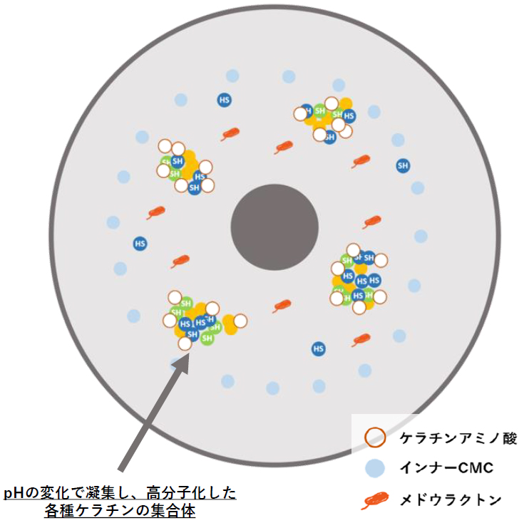 #熱ケラ,N.(エヌドット),ケラリファインシステム,凝集化,還元ケラチン