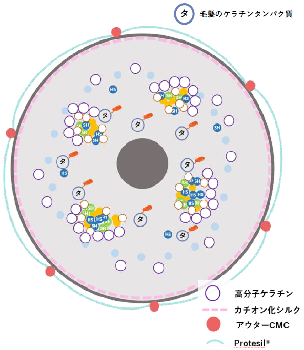 #熱ケラ,N.(エヌドット),ケラリファインシステム,凝集化,還元ケラチン