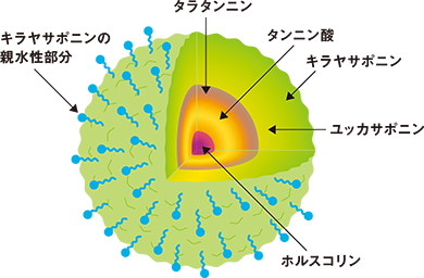 SUNA BIOSHOT,スーナ バイオショット