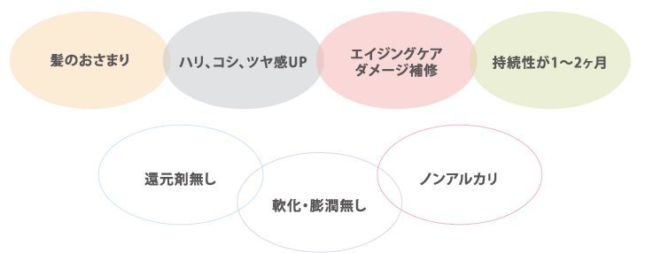 ACID SHAPER,アシッドシェイパー,酸性ケラチントリートメント