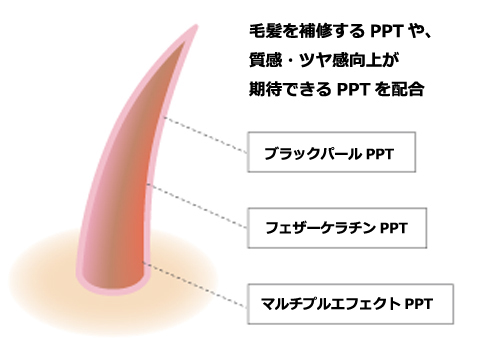 サロンカラーの価値を高めるヘアヴェール ホーユー プロマスター