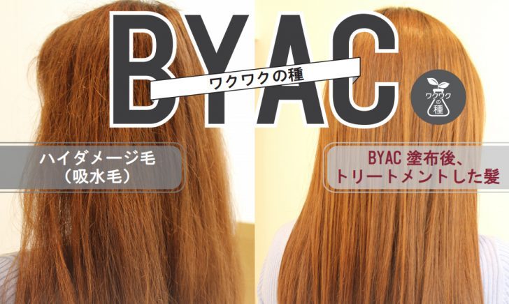 リトルサイエンティスト,ワクワクの種,BYAC,ビヤク,ビビリ治し,ハイダメージ毛