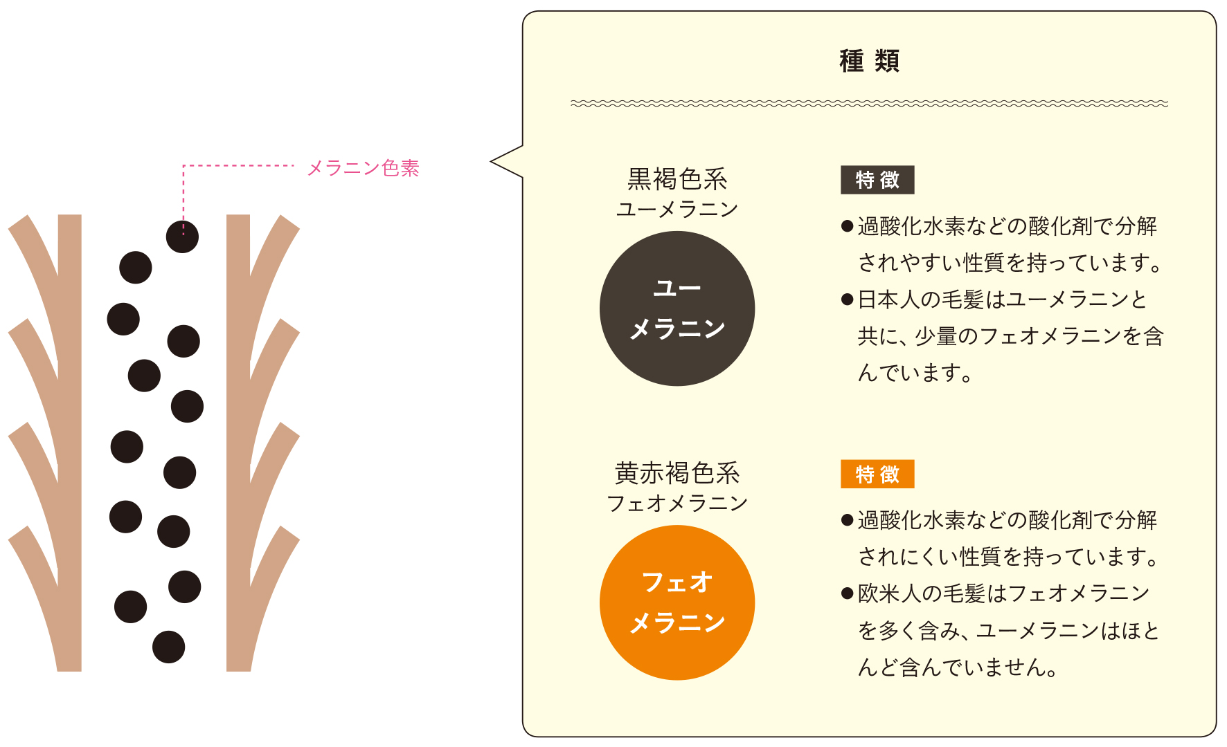 ヘアカラー理論,ダメージレスカラー