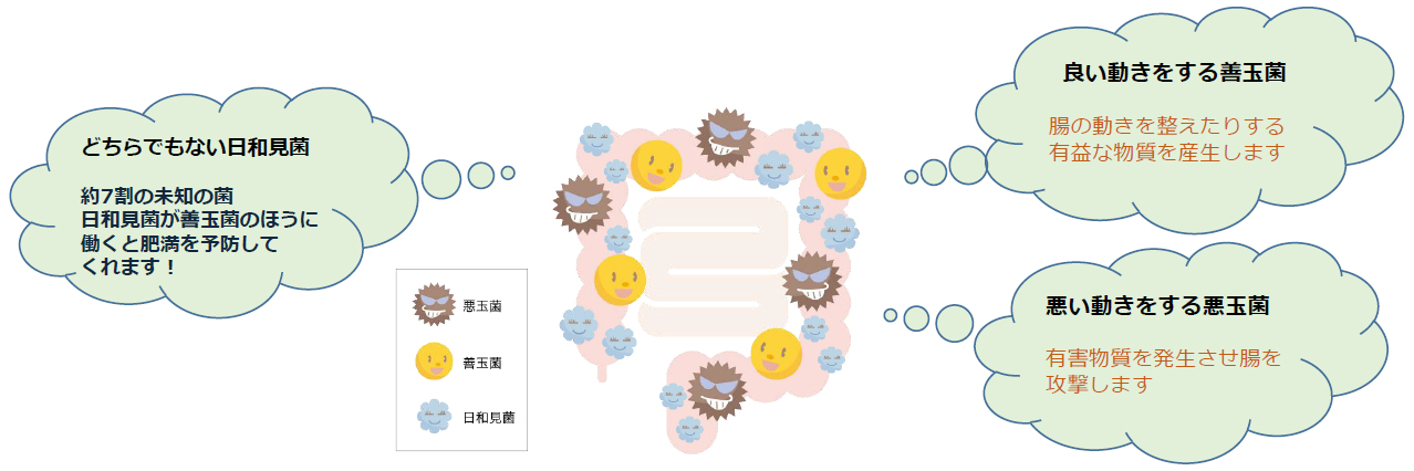 腸活,ファスティング,37℃,ダイエット,デトックス,腸内フローラ