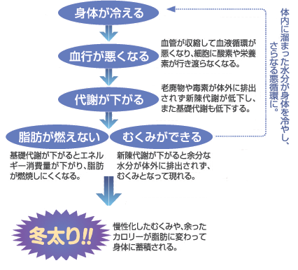 冬太り,水素,コタラヒム