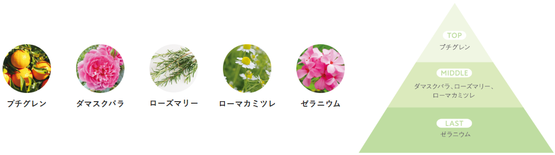 リトルサイエンティスト,ミュースキャルプ,頭皮悩み,スキャルプケア,皮脂バランスの乱れ,フケ,ベタつき,頭皮トラブル