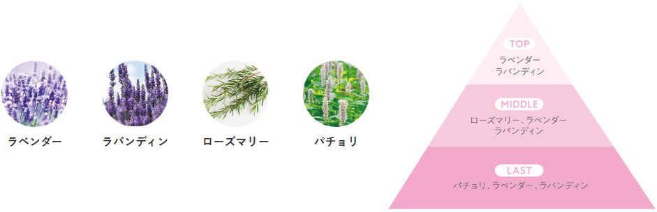 リトルサイエンティスト,ミュースキャルプ,頭皮悩み,スキャルプケア,皮脂バランスの乱れ,フケ,ベタつき,頭皮トラブル