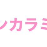 熱インカラミ,トキオインカラミ,トキオトリートメント,インカラミトリートメント,デザインインカラミ,ハイパートキオ