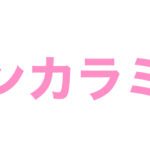 熱インカラミ,トキオインカラミ,トキオトリートメント,インカラミトリートメント,デザインインカラミ,ハイパートキオ