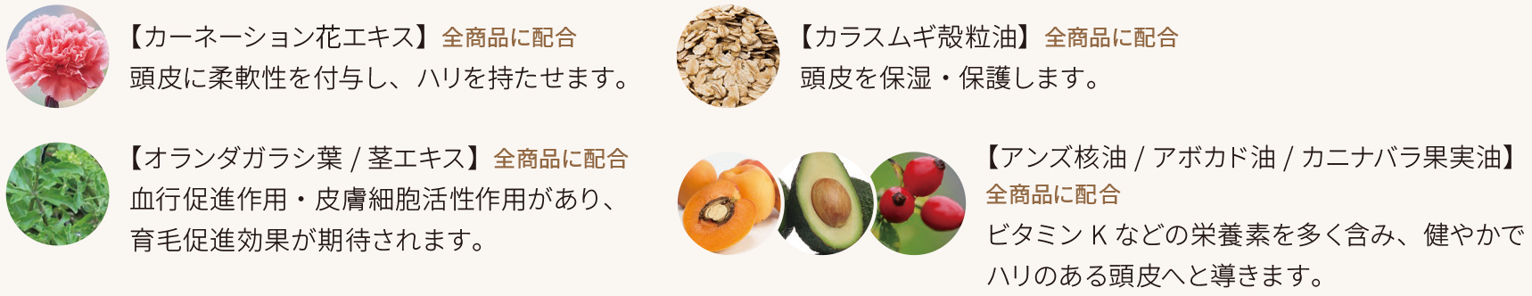 oggiotto,オッジィオット,oggi otto,魔法のシャンプー,シャンプー,ヘッドスパ,トリートメント, エイジングケア,オッジィムータ