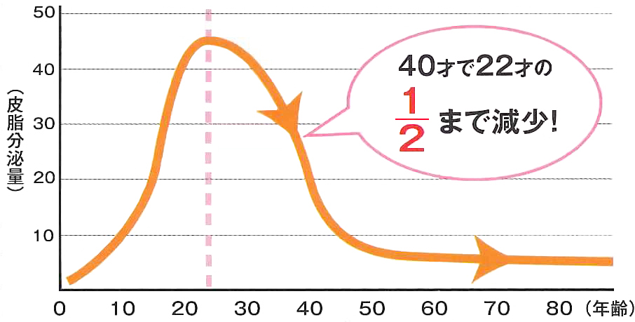 皮脂美容,22才肌,オイルセラム22