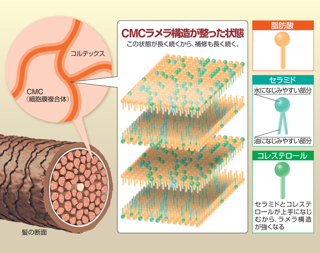 リケラ,ドレッシーケア,ポリアミンAEE,AEDSケラチン