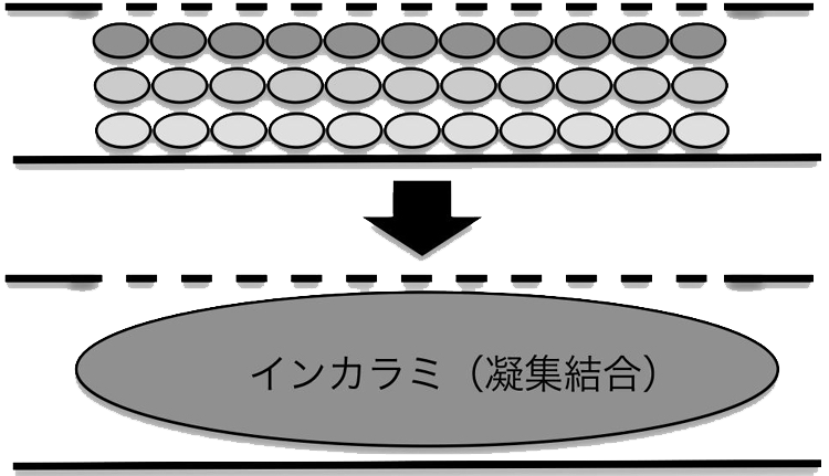 ドクタージュニア,トキオ インカラミ