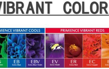 バイブラントカラー,プリミエンス