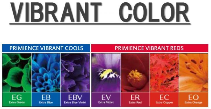 バイブラントカラー,プリミエンス